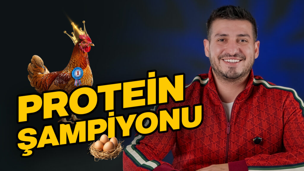 Portfolyo