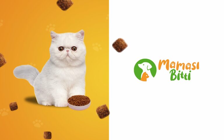 Tasarım Odaklı Reklam Prodüksiyon